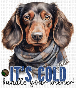 It’s cold. Bundle your wiener! - DTF transfer