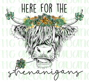 Here for the shenanigans - DIGITAL