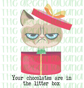 Your chocolates are in the litter box