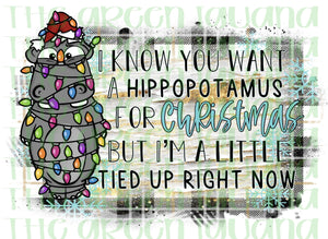 I know you want a hippopotamus for Christmas, but I’m a little tied up right now