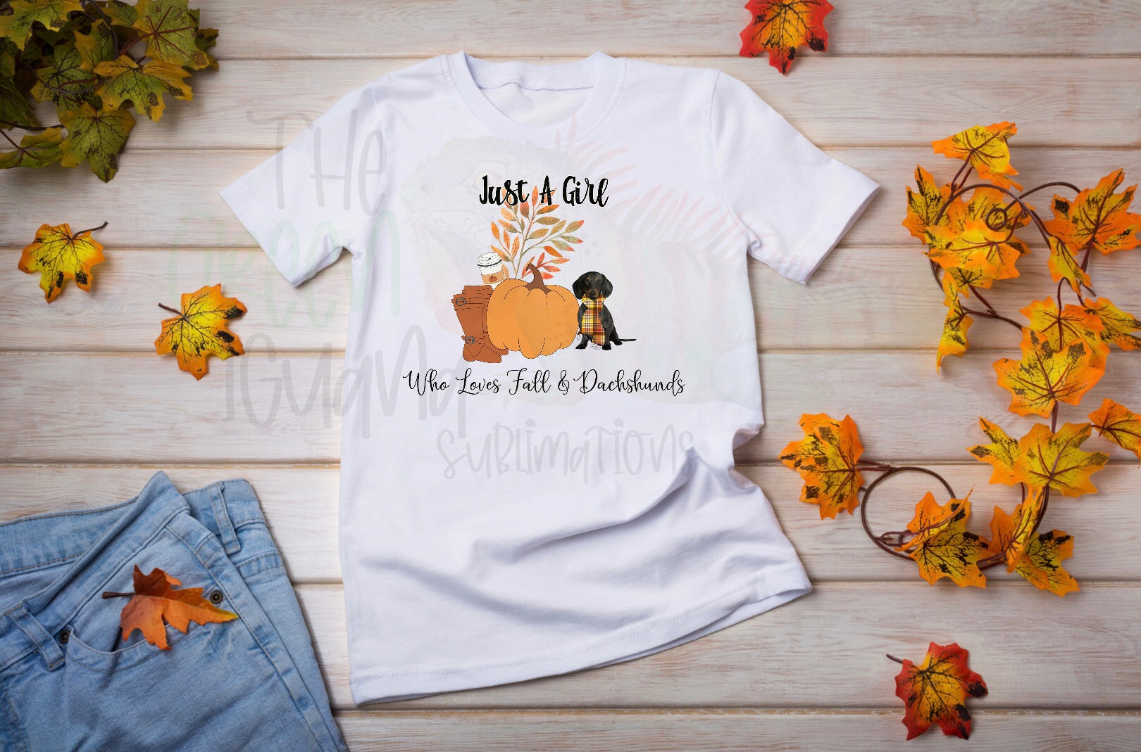 Just a girl who loves fall & dachshunds